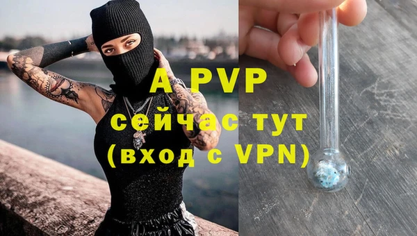 МДПВ Касимов